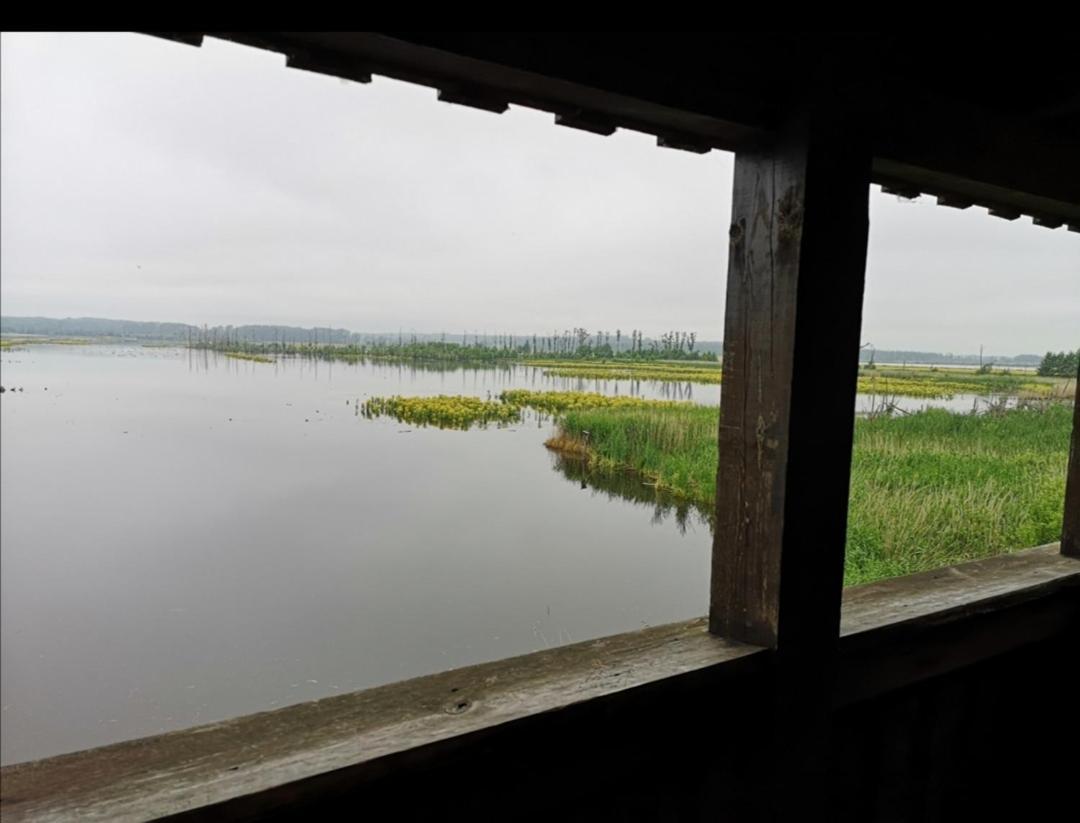 Sommerhaus Verchen Bagian luar foto